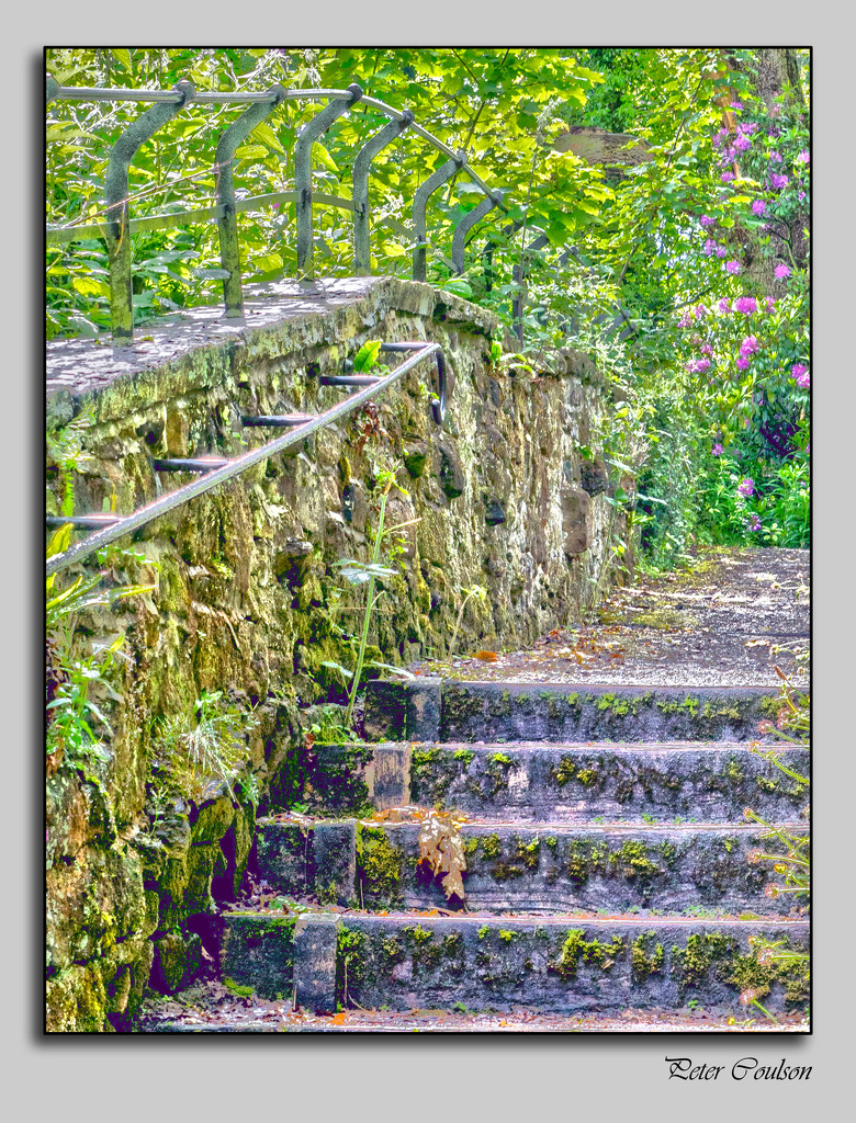 Steps by pcoulson