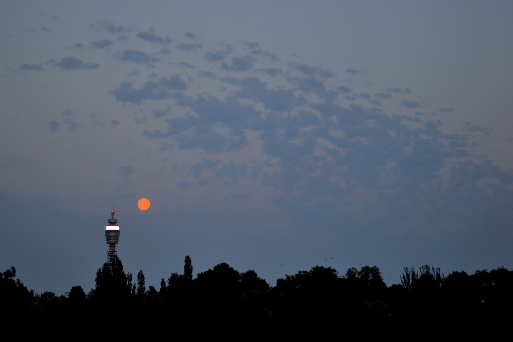 Moon over Regent's Park by tomdoel