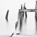 Pilings by shesnapped