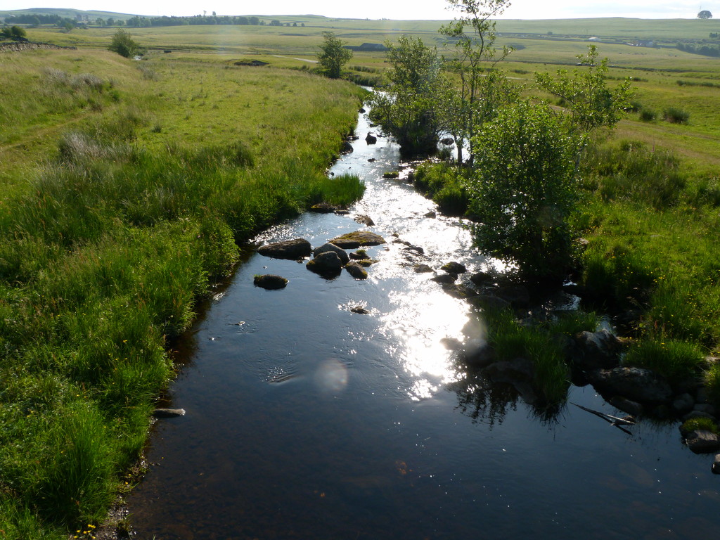 Little stream by shirleybankfarm