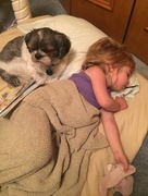 2nd Jul 2015 - Pillow pet