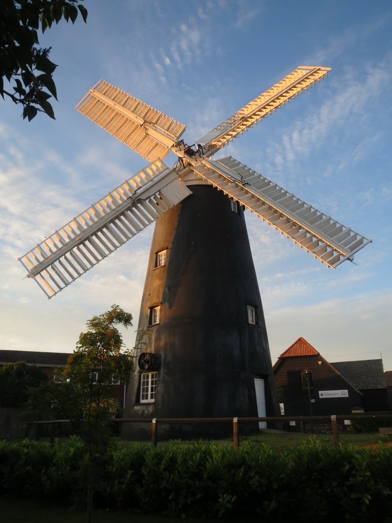 Our Windmill late Evening by foxes37
