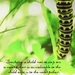 ETSOOI caterpillar  by mzzhope