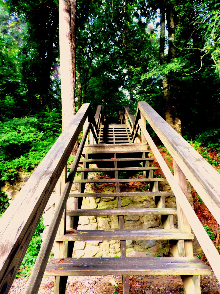 Hiking the stairs! by homeschoolmom