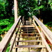 Hiking the stairs! by homeschoolmom
