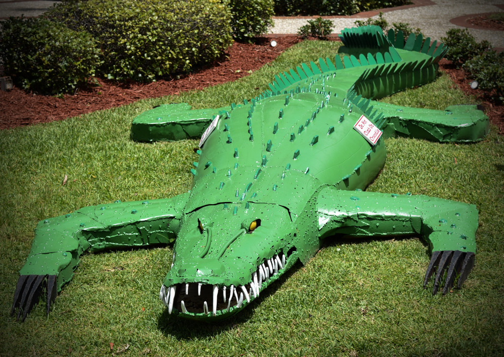 Anyone looking for an Alligator by rickster549