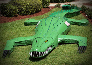3rd Jul 2015 - Anyone looking for an Alligator
