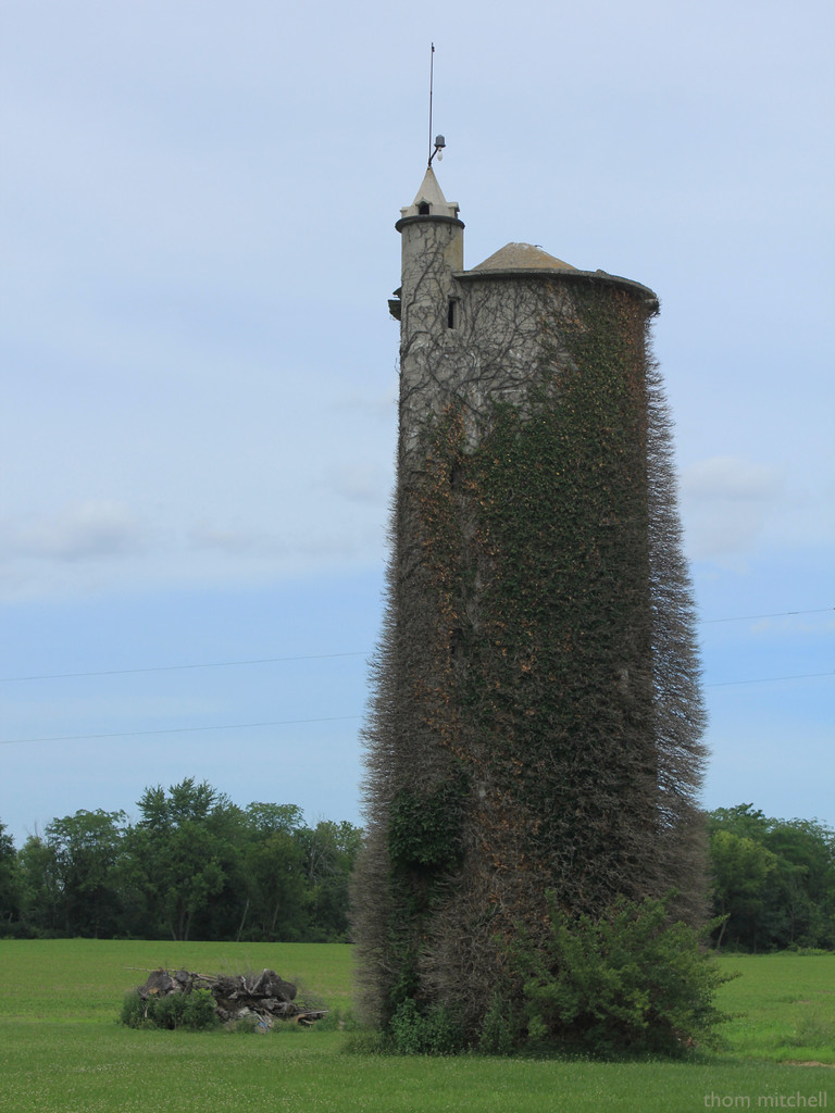 Fuzzy silo by rhoing