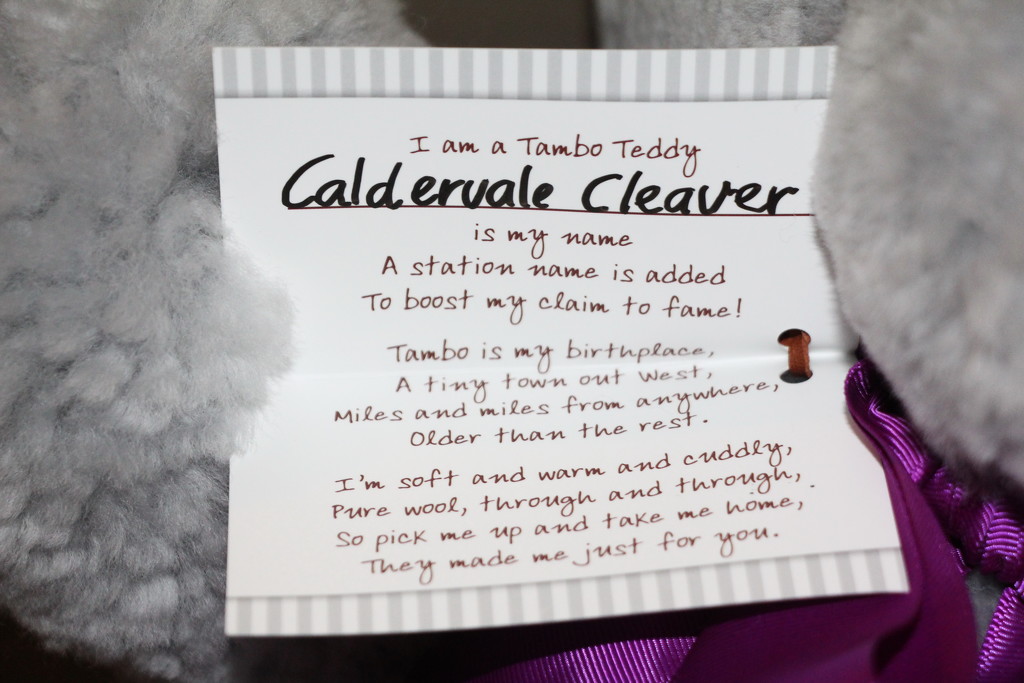 Caldervale Cleaver by terryliv