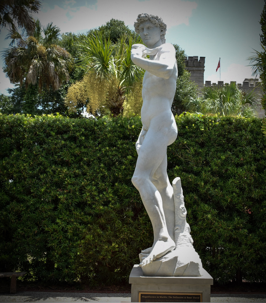 Statue of David by rickster549