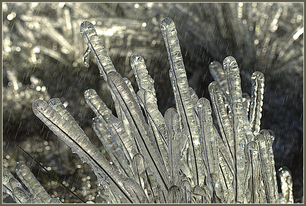 Icicles by dide