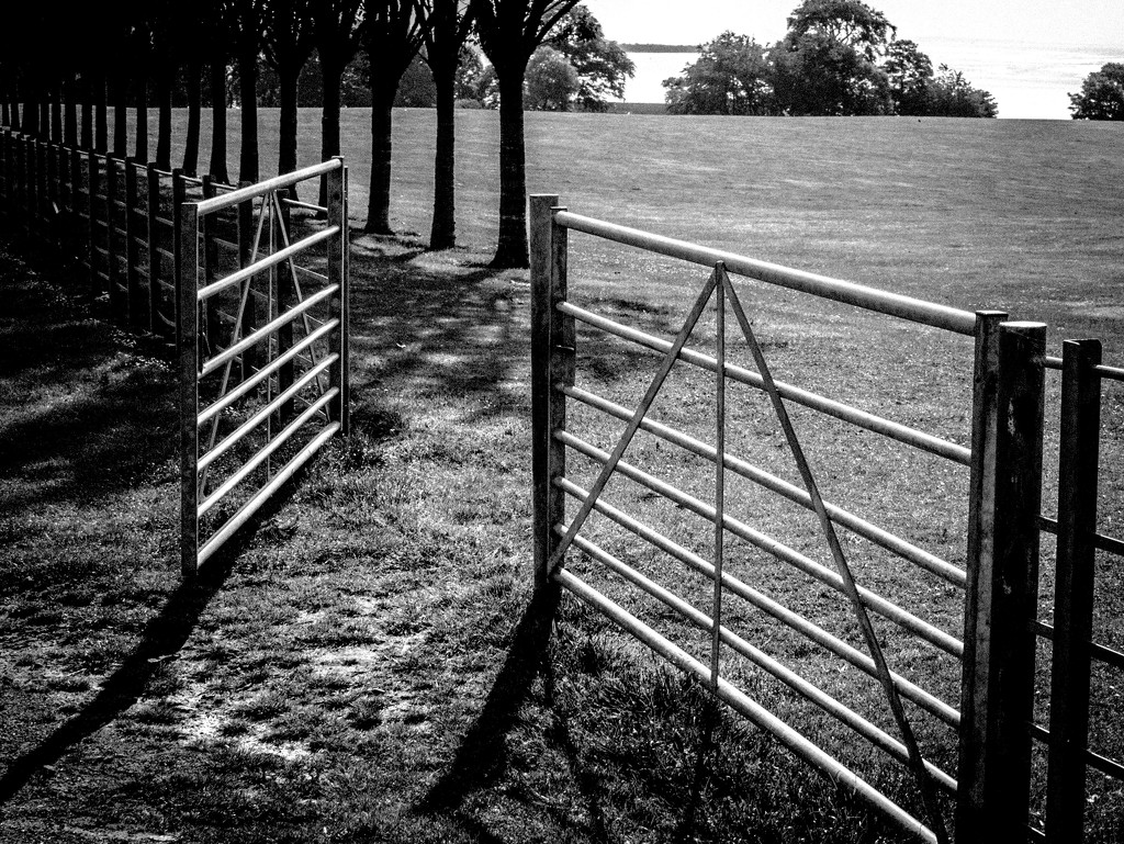 Open Gate by frequentframes