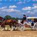 The Bridal Carriage by carolmw