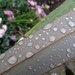 Raindrops by g3xbm
