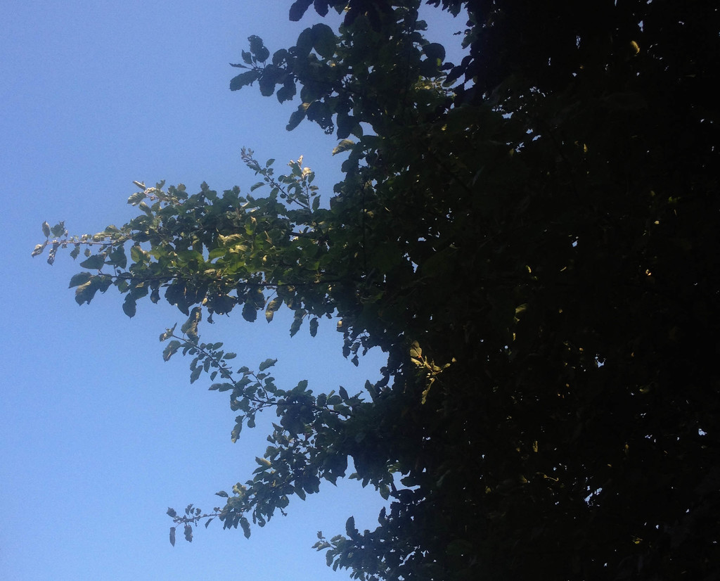 Blue skies smiling at me by justaspark