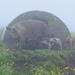 Pigs In Fog by lifeat60degrees