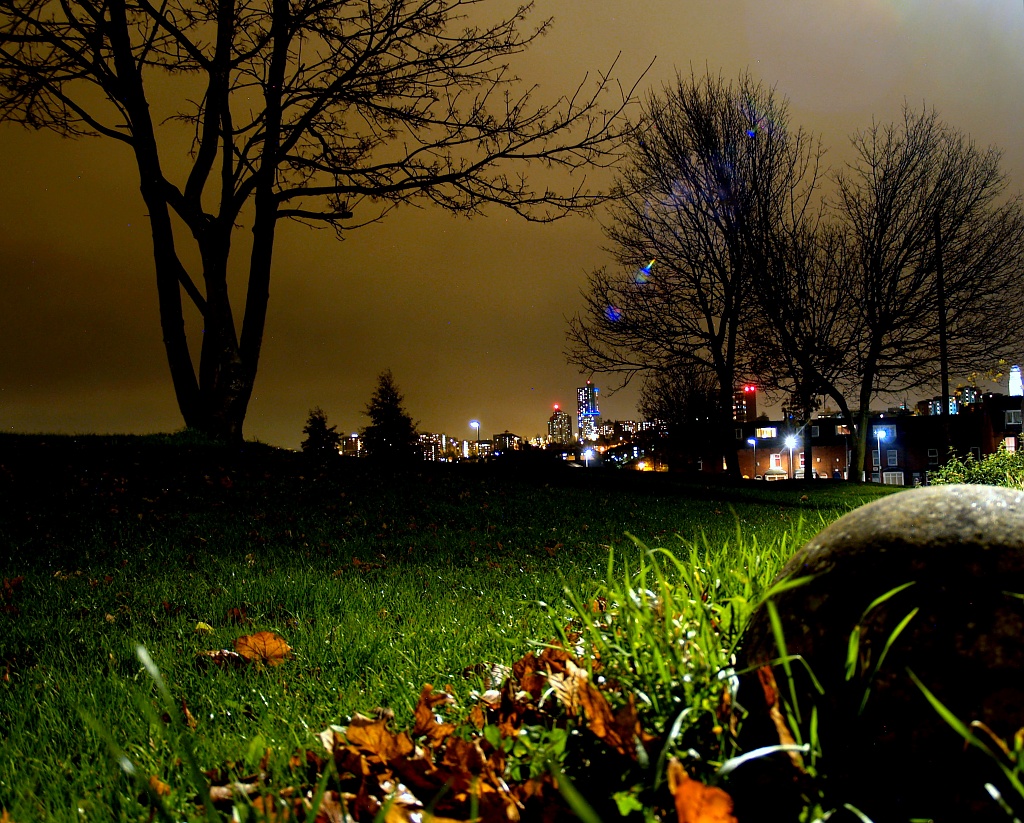 Leeds by Night from Drunkenator Park by rich57