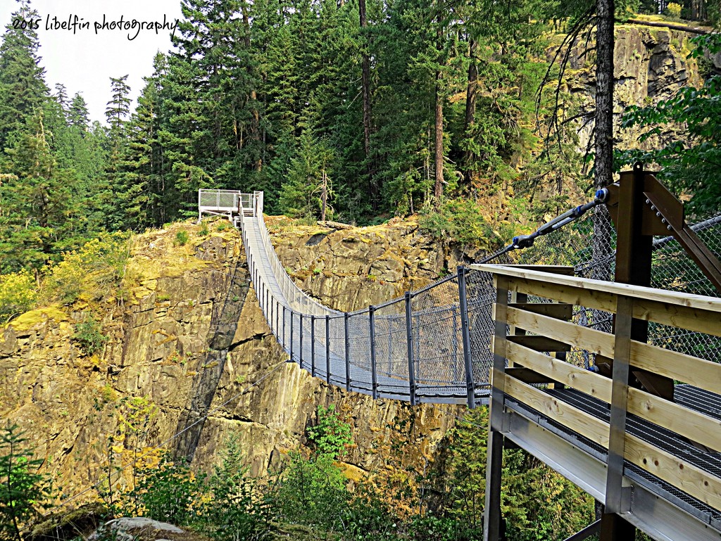 Elk Falls Suspension Bridge by kathyo