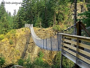 5th Jul 2015 - Elk Falls Suspension Bridge
