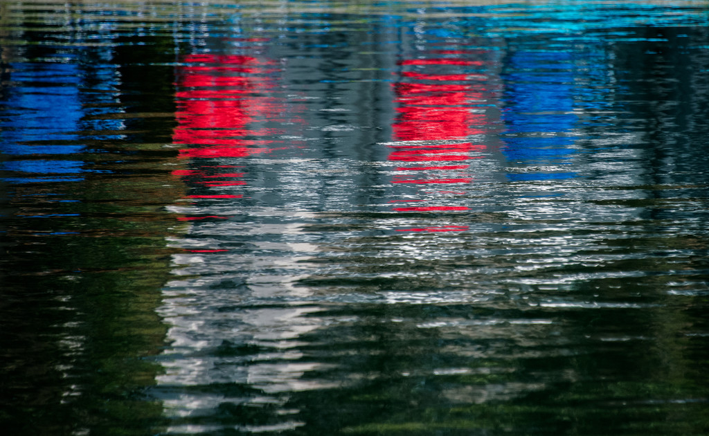 Red Wet and Blue by stray_shooter