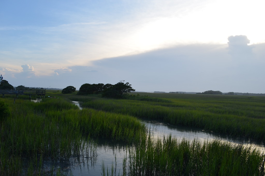 Marsh and sky, Folly Island, South Carolina by congaree
