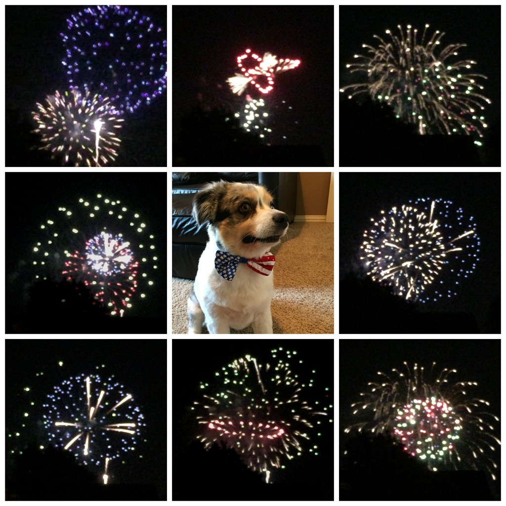 Fireworks 2015 by 365projectorgkaty2
