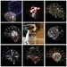 Fireworks 2015 by 365projectorgkaty2