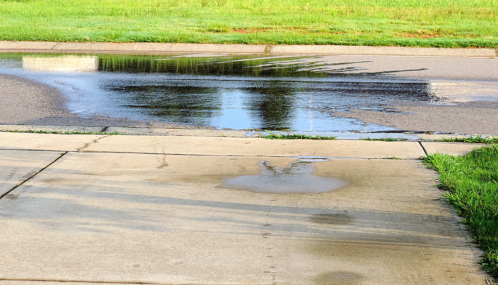 The truck made a puddle! by homeschoolmom