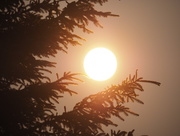 6th Jul 2015 - Hazy Sunrise