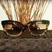 Sunglasses  by seattlite