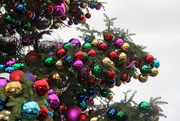 13th Dec 2014 - Zurich special Christmas tree