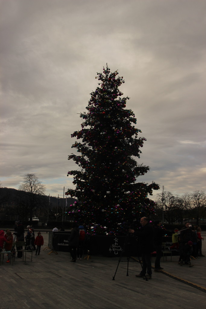 Christmas tree by belucha