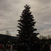 Christmas tree by belucha