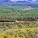Glasshouse Mountains  by corymbia