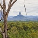 crook neck mountain  by corymbia