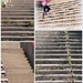 Mundane Stairs Collage by genealogygenie