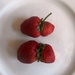 Two Twin Strawbs by will_wooderson