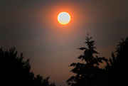 7th Jul 2015 - Smokey Sun 