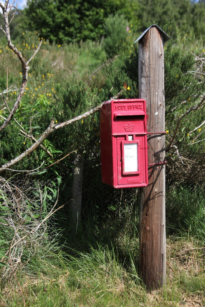 UK Post Box by jamibann