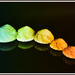 Rainbow Shells by nickspicsnz