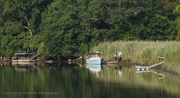 5th Jul 2015 - Morning on the river