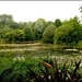a placid lake in Battersea Park, London by cruiser