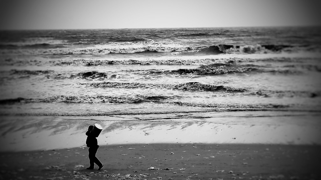 Moving alongside the tide... by amrita21