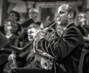 8th Jul 2015 - French Horn Player