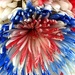 Red, white and blue flower! by homeschoolmom