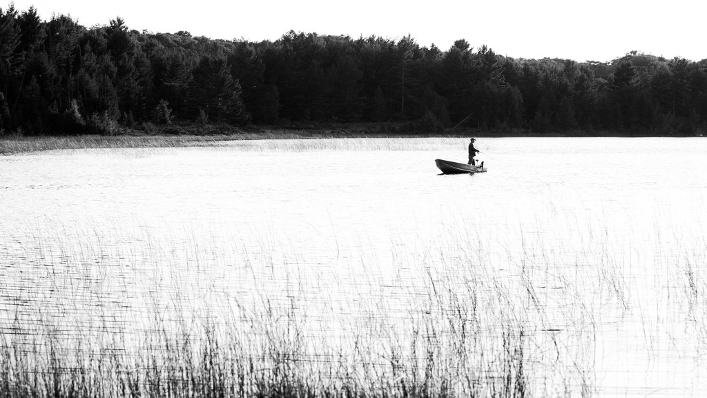 Lone Fisherman on Barney's Lake by taffy