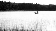 7th Jul 2015 - Lone Fisherman on Barney's Lake