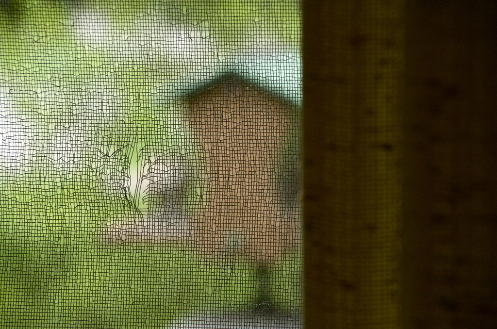 Mosquito door by houser934