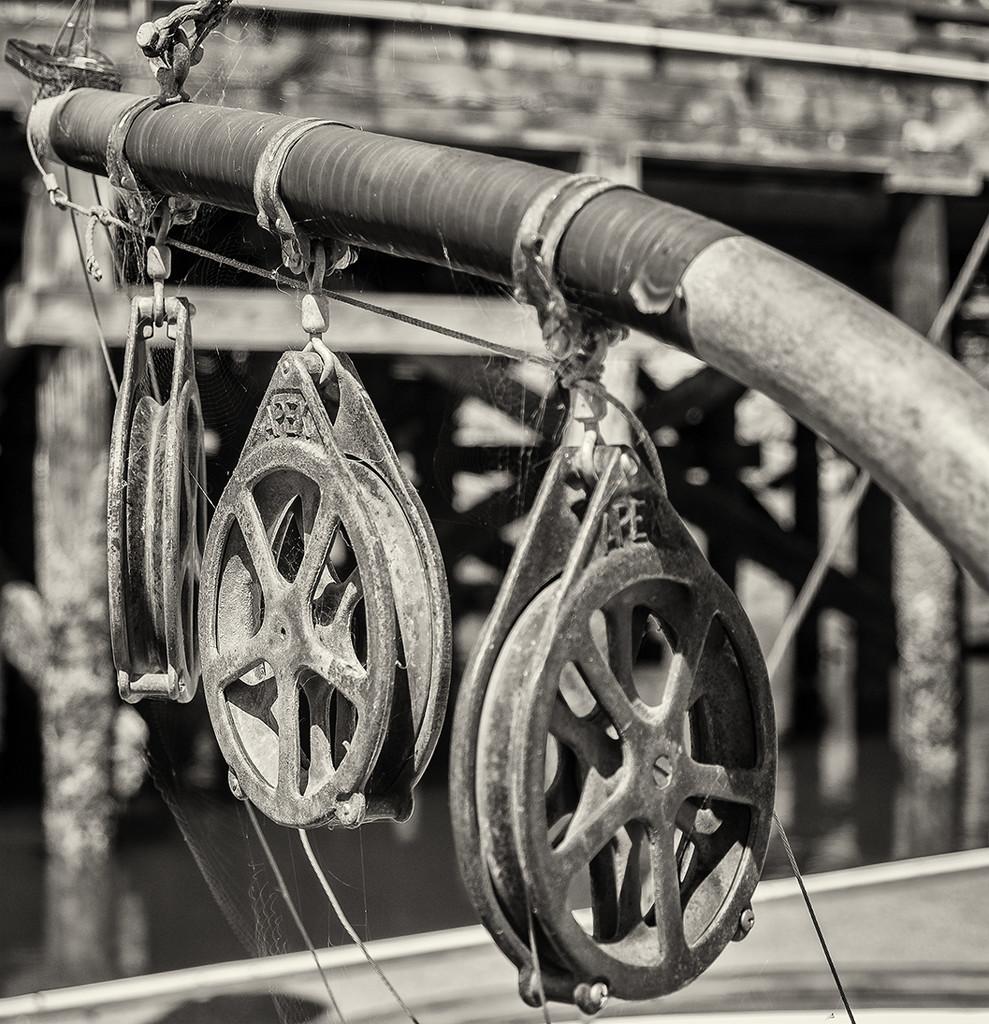 Pulleys, Webs and Shadows by jgpittenger