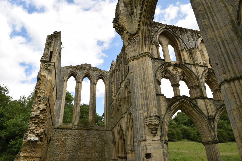 Rievaulx Abbey by christophercox